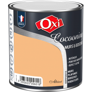 COCOONING MURS ET BOISERIES SATIN