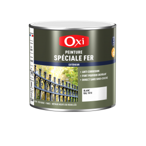 PEINTURE SPECIALE FER BRILLANT